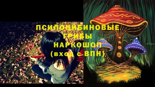 MESCALINE Горно-Алтайск